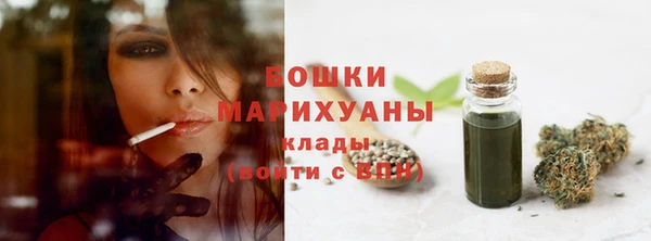 СК Аркадак