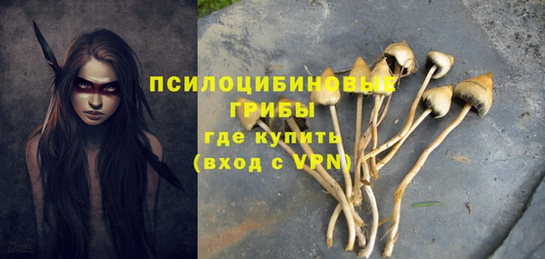 спиды Армянск