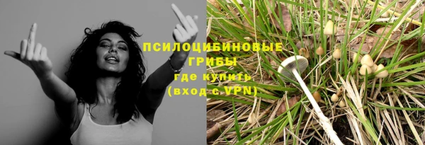 спиды Армянск